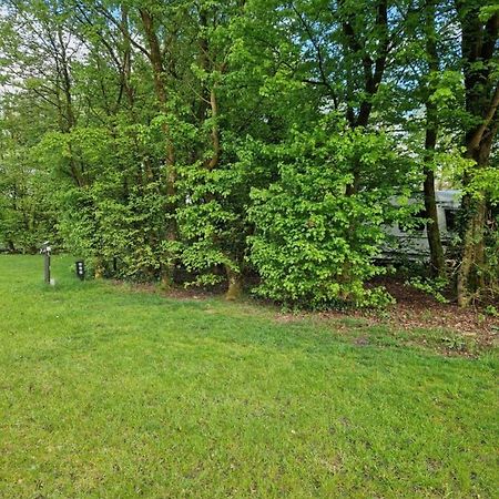Camping Alkenhaer Appelscha Lege Kampeerplaats Extérieur photo