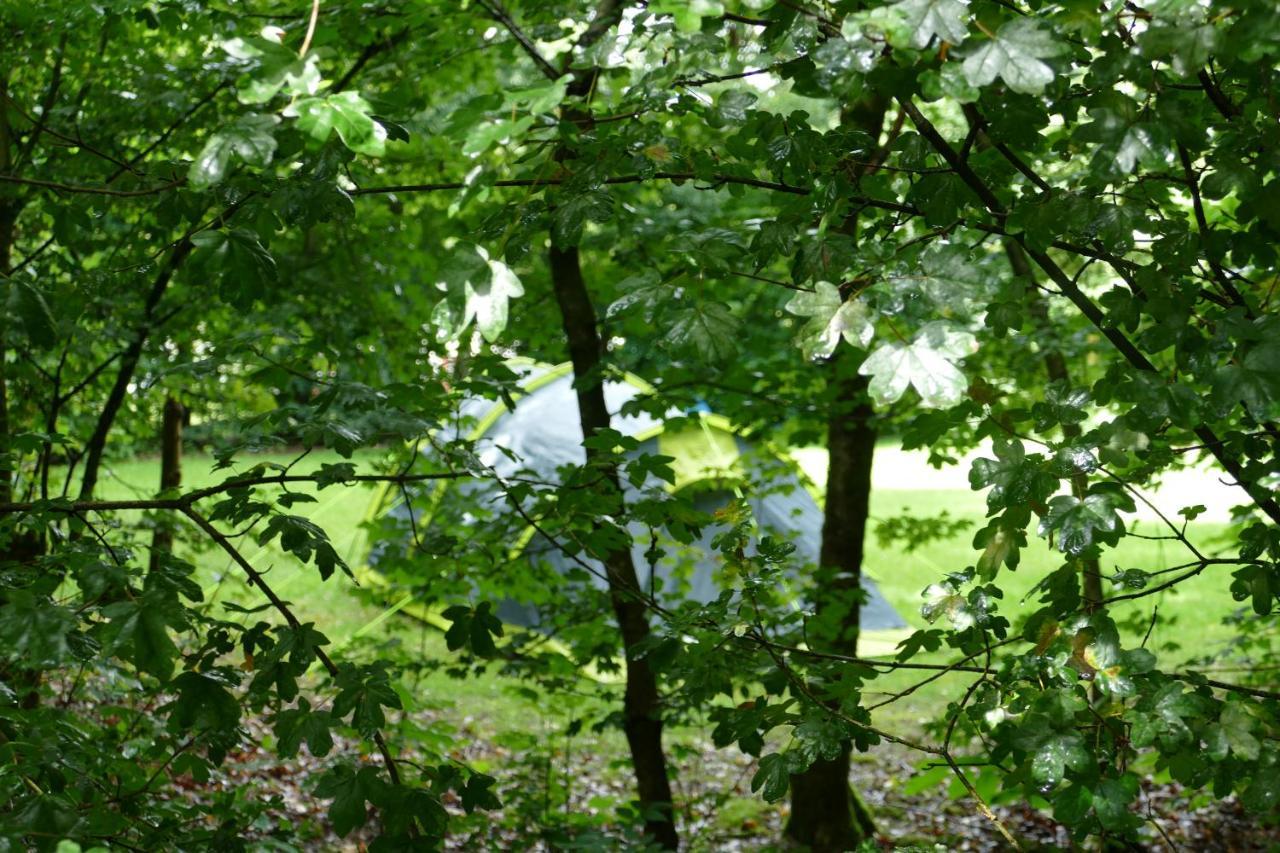 Camping Alkenhaer Appelscha Lege Kampeerplaats Extérieur photo