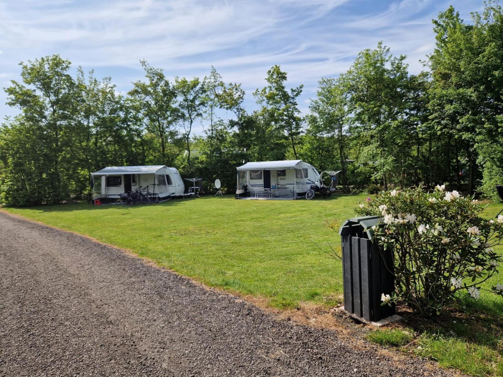 Camping Alkenhaer Appelscha Lege Kampeerplaats Extérieur photo